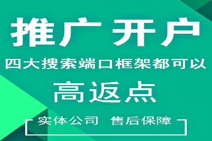 SEM推广案例：效果评估与改进